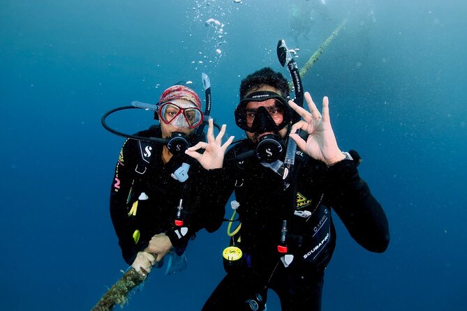 Blue Dive Private Guided Scuba Dive Cairns - From Spence Street to the 25 Catamaran, Start to Finish