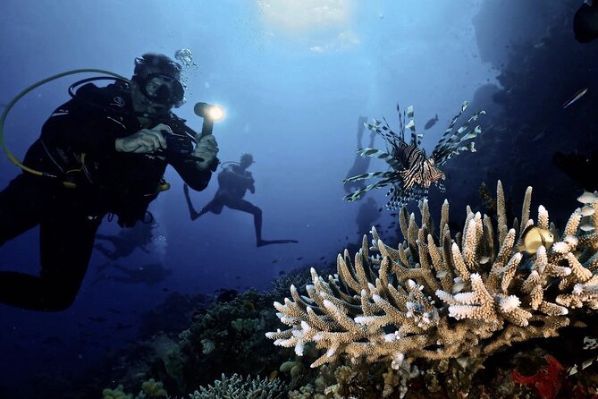 Blue Dive Private Guided Scuba Dive Cairns - Photos and Video You’ll Actually Want to Keep
