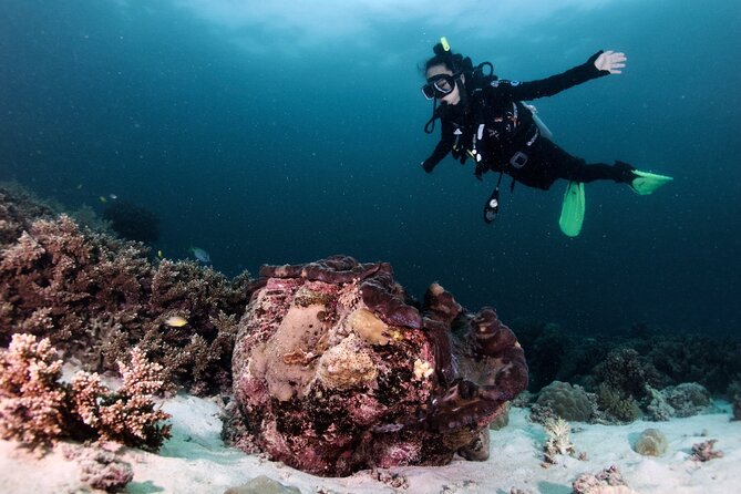 Blue Dive Private Guided Scuba Dive Cairns - Who This Works Best For, and Who Should Rethink It