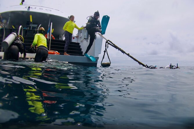 Blue Dive Private Guided Scuba Dive Cairns - The Private Group Advantage, Even When There Are Other People on Board