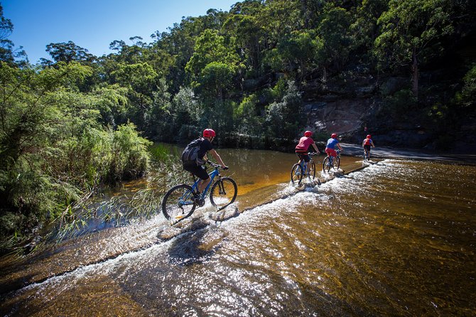 Blue Labyrinth PRIVATE Tour: Sydney Blue Mountains by E-Bike - Portal Country: Tunnel View and Mt Portal Lookouts