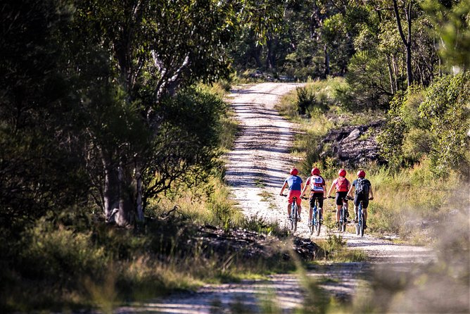 Blue Labyrinth PRIVATE Tour: Sydney Blue Mountains by E-Bike - Route Options for Every Skill Level (Without Fake Easy Promises)