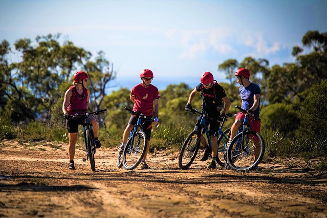 Blue Labyrinth PRIVATE Tour: Sydney Blue Mountains by E-Bike - Riding Style: Fire Trails, Basic Single Track, and View Stops