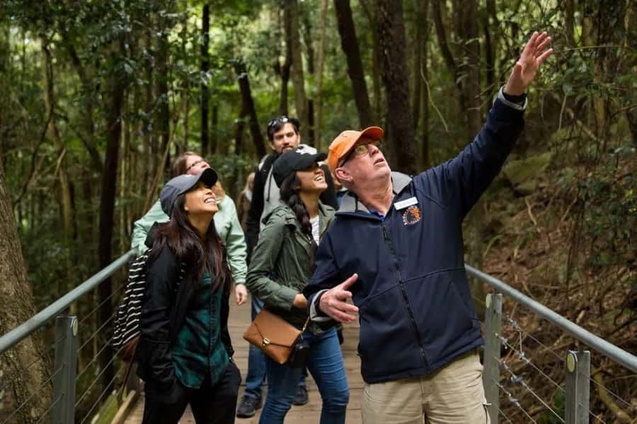 Blue Mountain: Small-Group Tour with Lunch & Scenic World - A 10-hour Blue Mountains loop that does not feel like a factory tour