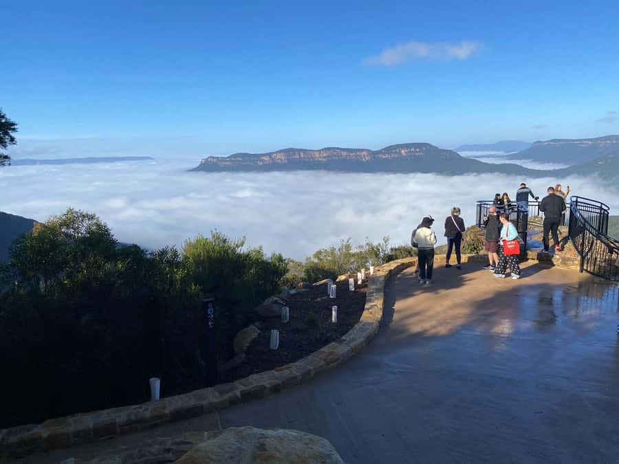 Blue Mountain: Small-Group Tour with Lunch & Scenic World - Featherdale or Sydney Zoo: kangaroo feeding is the headliner
