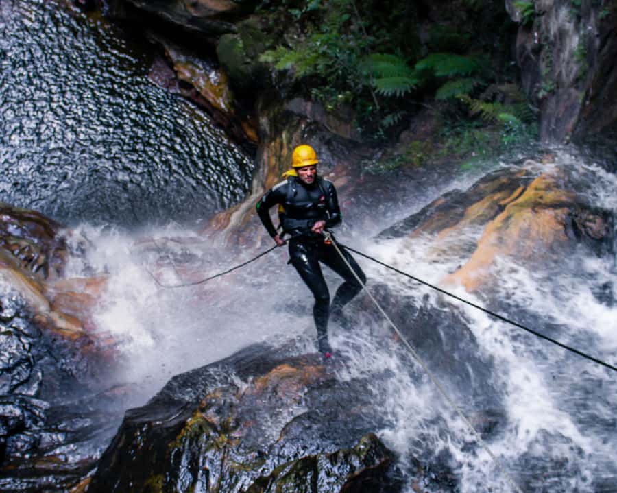 Blue Mountains: Abseiling and Canyoning Experience - Wild Swims, Slides, and Water Jumps: What the Canyon Segment Actually Feels Like