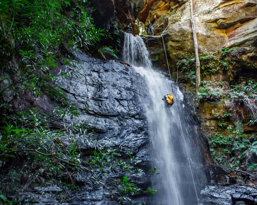 Blue Mountains: Abseiling and Canyoning Experience - What You Should Pack for Wetsuits, Slides, and Ropes