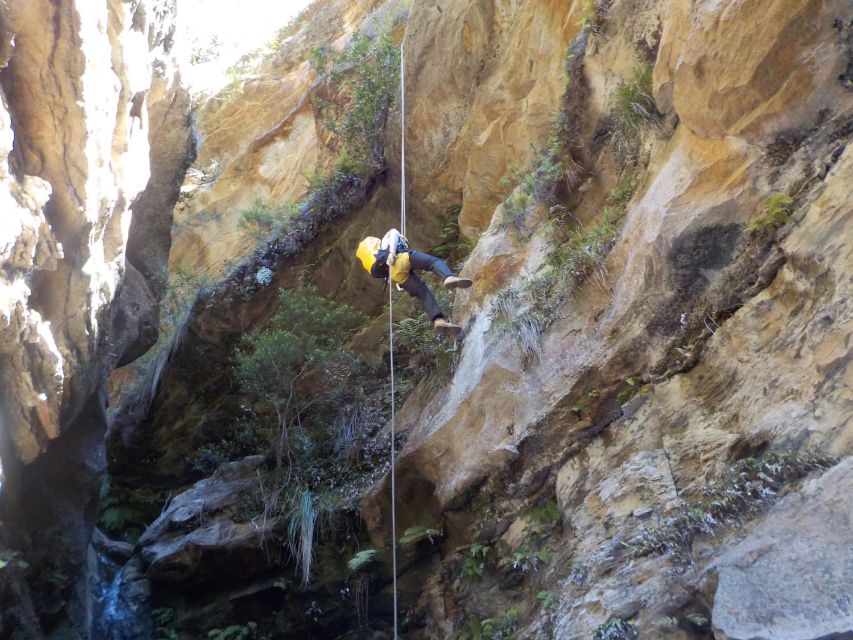 Blue Mountains: Abseiling and Canyoning Experience - Fitness, Swimming, and Fear of Heights: The Honest Suitability Check