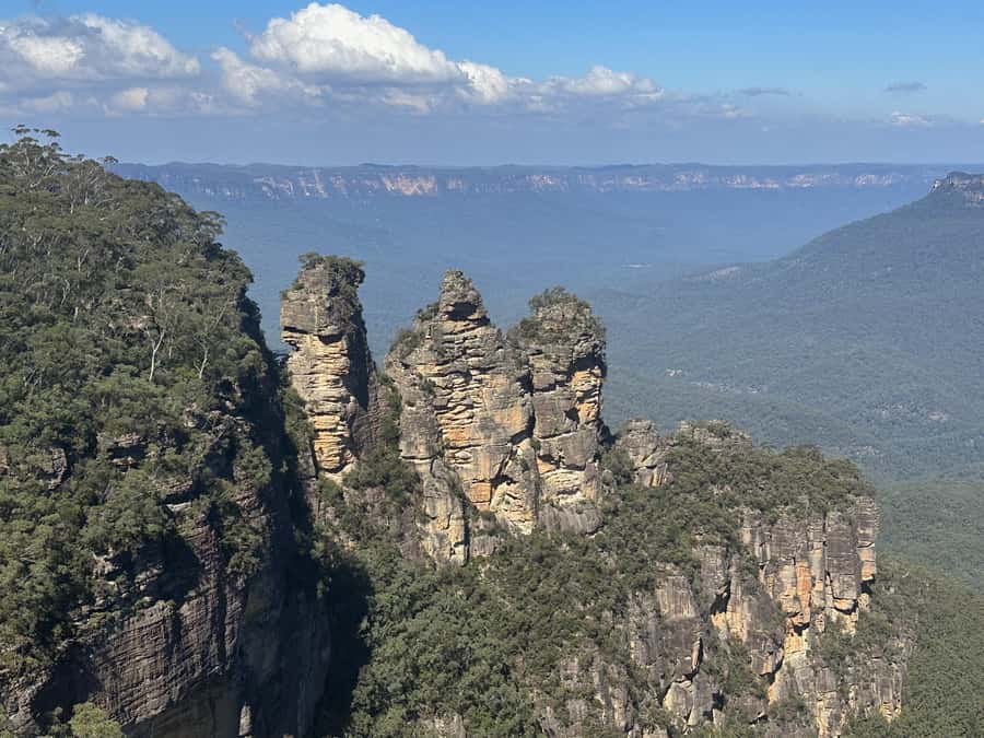Blue Mountains Adventure: Scenic World, Zoo & Koala Photo - A full-value day trip from Sydney, without the ticket hassle