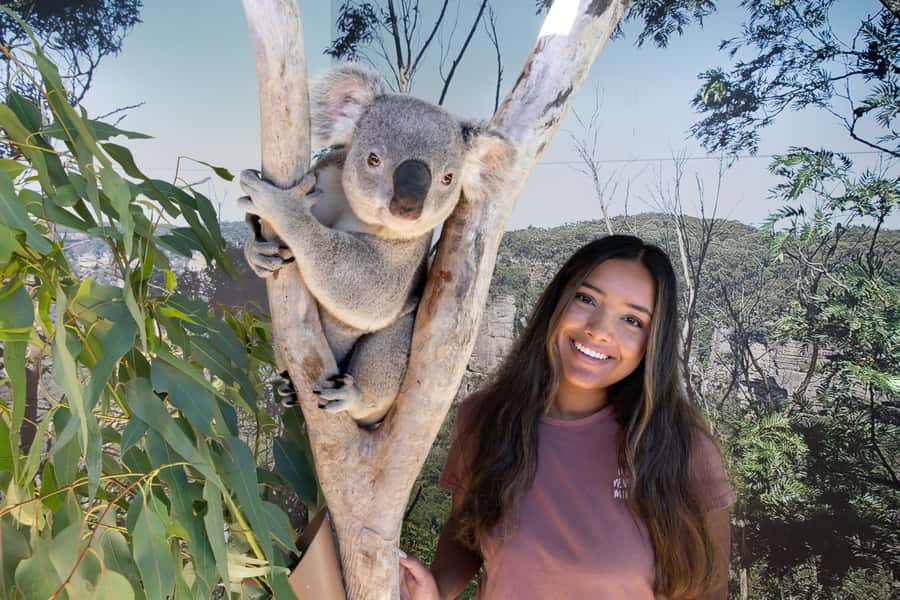 Blue Mountains Adventure: Scenic World, Zoo & Koala Photo - Scenic World: three rides, one steep payoff