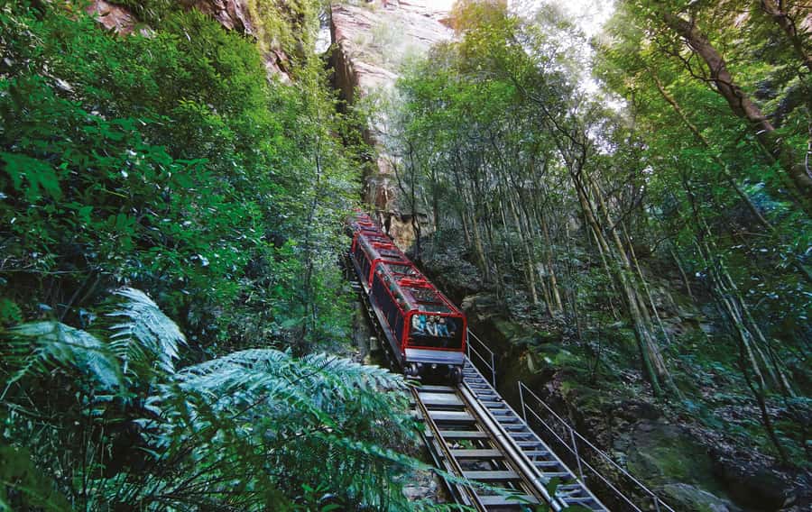 Blue Mountains Adventure: Scenic World, Zoo & Koala Photo - Morning pickup, air-conditioned comfort, and the Glenbrook reset