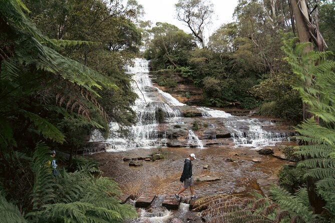 Blue Mountains Adventure w Scenic World, Zoo, Koala Photo & Ferry - Key Highlights Worth Planning Around