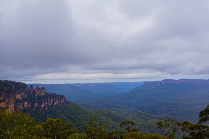 Blue Mountains Day Tour from Sydney - Sydney Zoo: kangaroos, koalas, and an Aboriginal cultural talk