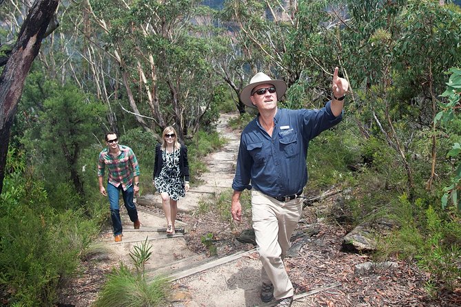Blue Mountains Day Tour With Bushwalks, Waterfalls & Featherdale - A car-free Blue Mountains day that still feels full