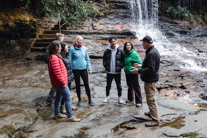 Blue Mountains Day Tour With Bushwalks, Waterfalls & Featherdale - Wentworth Falls: the walk that makes or breaks the day