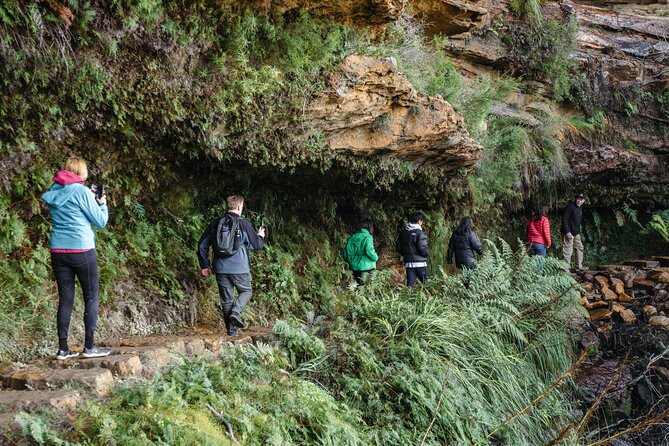 Blue Mountains Day Tour With Bushwalks, Waterfalls & Featherdale - Pace on the road, and what to bring to stay comfortable
