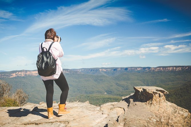 Blue Mountains Day Tour With Bushwalks, Waterfalls & Featherdale - Sydney pickup and the morning run west