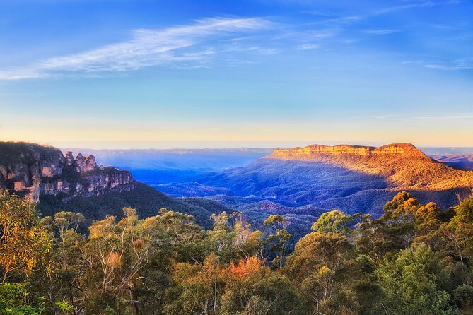 Blue Mountains Day Tour with Wildlife and Scenic World Entry - Leura Village Break: Shops, Coffee, and a Breathing Pause