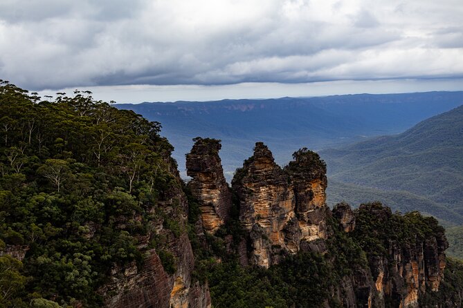 Blue Mountains Day Tour: Zoo, Scenic World & Three Sisters - Sydney Zoo first: feeding kangaroos and the koala trail
