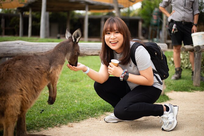 Blue Mountains Express includes Three Sisters Hiking Option - Scenic World: the big rides are optional, so choose your own intensity
