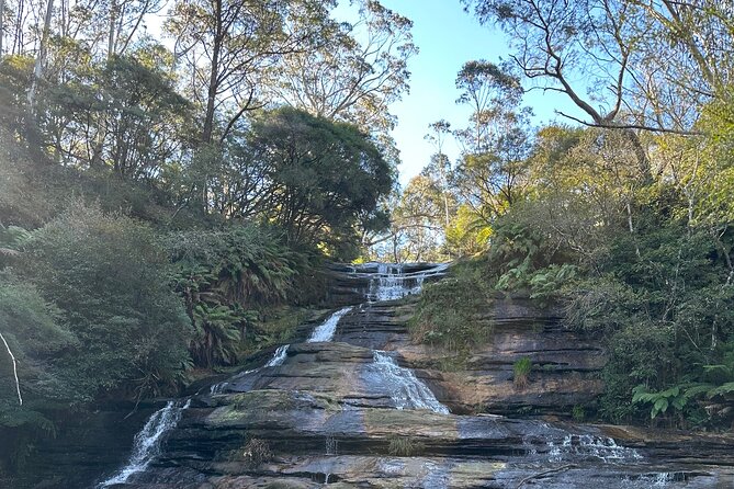 Blue Mountains Full Day Guided Tour - Rainforest, waterfalls, and wildlife that feels close