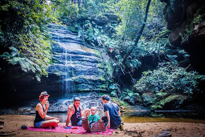 Blue Mountains Hop On Hop Off Tour - Scenic World and the Lyrebird Pass upgrade, worth it or optional?