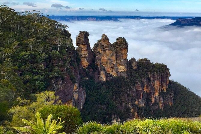 Blue Mountains Private Tour from Sydney - Key things you’ll notice on this Blue Mountains private day