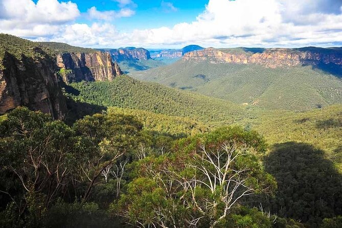 Blue Mountains Private Tour from Sydney - The Three Sisters: iconic views plus the story you should know