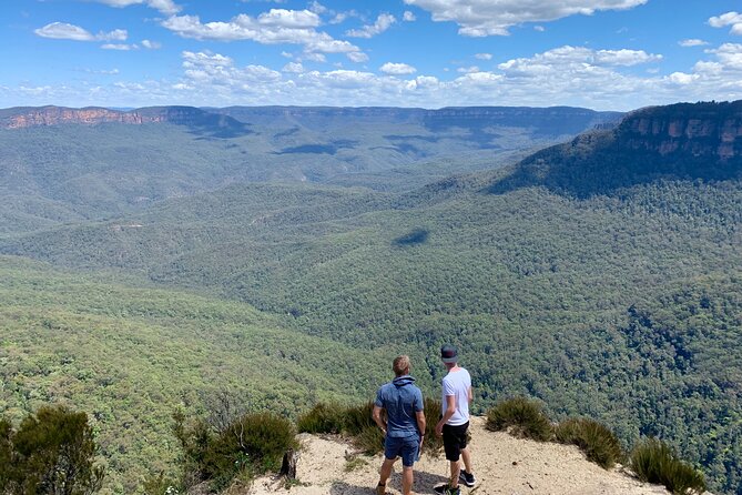 Blue Mountains Private Tour From Sydney, & Featherdale Aussie Animal Park Option - Key highlights you can plan around