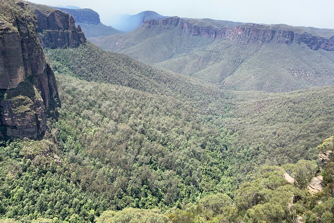 Blue Mountains Private Tour From Sydney, & Featherdale Aussie Animal Park Option - Rivercat back to Sydney Harbour: a scenic end that saves you from traffic
