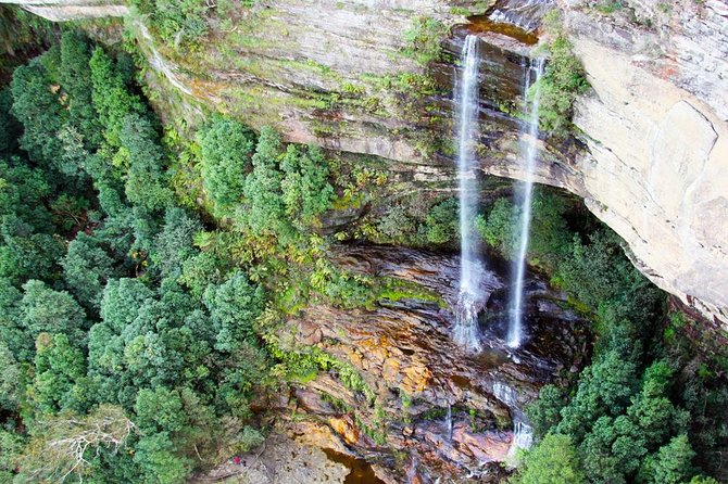 Blue Mountains Private Tour including Wildlife Park - How the guide changes your day (for better or worse)