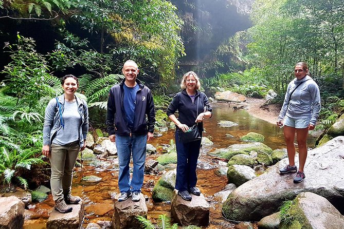 Blue Mountains Private Tour including Wildlife Park - Jamison Valley viewpoints: where the scenery does the talking