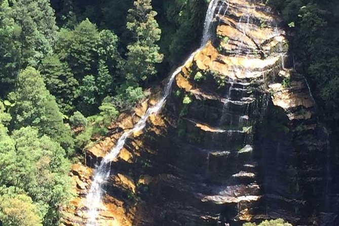 Blue Mountains Private Tour with Kangaroo and Koala Experience - What to pack, how to time breaks, and who this suits best