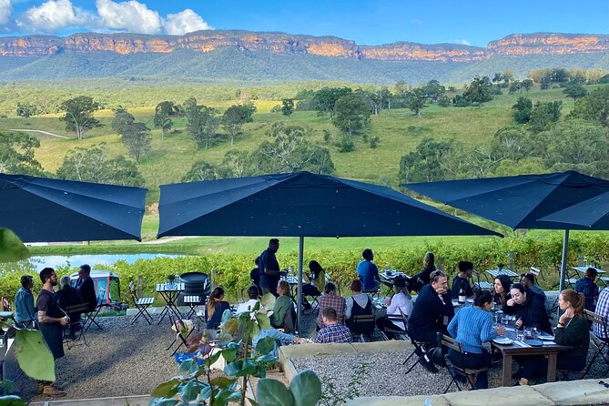 Blue Mountains Private Tour with Kangaroo and Koala Experience - Should you book this Blue Mountains tour with kangaroo and koala time?