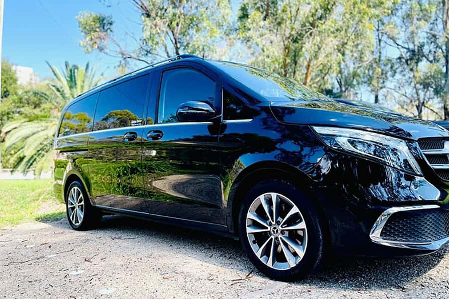 Blue Mountains: Private Tour with Wildlife and River Cruise - Start with pickup in Sydney and a comfortable ride