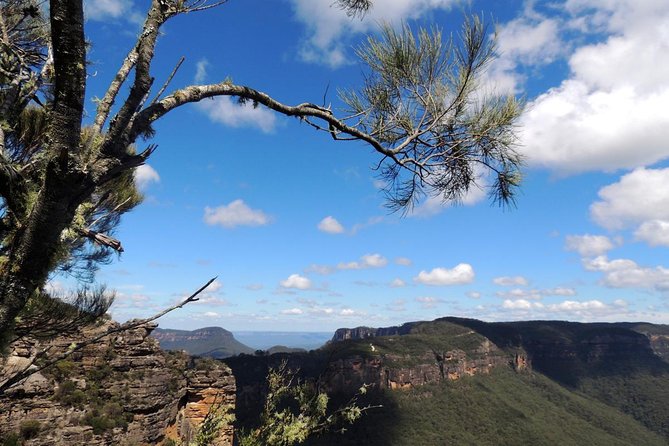 Blue Mountains Small-Group Insider Tour from Sydney - How the day starts: 7:30 am pickup and a fast route out of Sydney