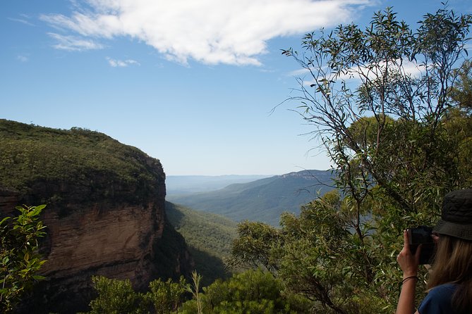 Blue Mountains Small-Group Insider Tour from Sydney - Heading into the Blue Mountains: Jamison Valley and the Wentworth Falls circuit