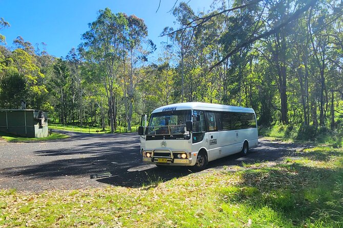 Blue Mountains Small Group Tour with Waterfall Walk & Fresh Lunch - Lunch on the trail: fresh rolls, Tim Tams, Vegemite, and water strategy