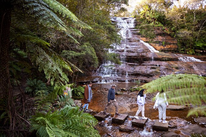 Blue Mountains Sunset Tour with Kangaroo Sightings from Sydney - Glenbrook stop: stretch your legs and plan your snack situation