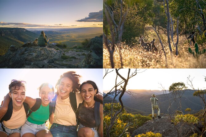Blue Mountains Sunset Tour with Kangaroo Sightings from Sydney - Kangaroo sighting chances: how to set expectations the smart way