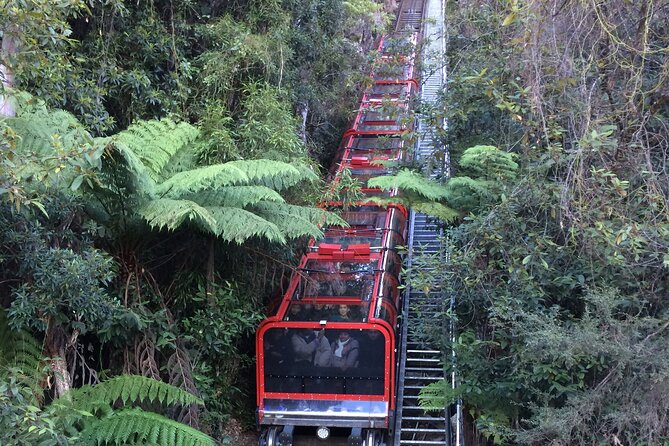 Blue Mountains Tour PRIVATE with Wildlife Park and River Cruise - Cahill’s Lookout and Wentworth Falls Lake: quieter viewpoints, quick nature breaks