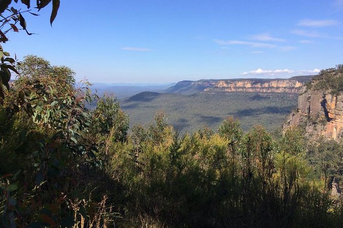 Blue Mountains Tour PRIVATE with Wildlife Park and River Cruise - Scenic World: what you get in the stop, and how to decide on the extra rides