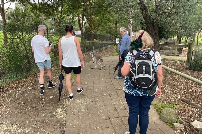 Blue Mountains Wildlife Full-Day Sights and Hiking from Sydney - Tips to make the hike and viewpoints work for you