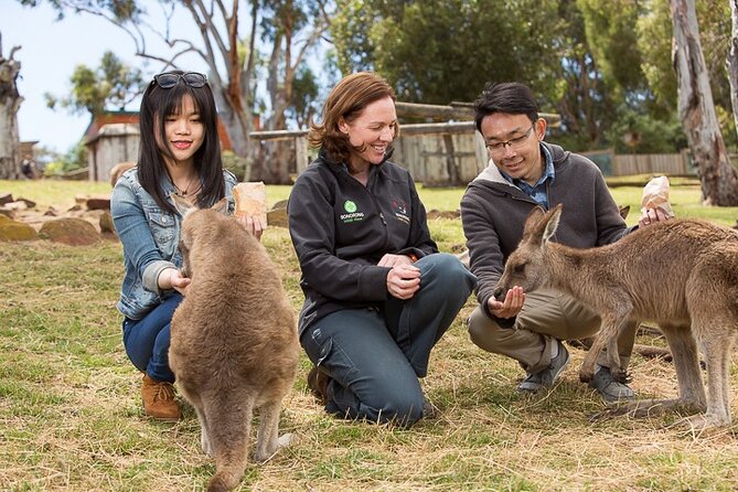 Bonorong Wildlife Park and Richmond Afternoon Tour from Hobart - A 4-hour Hobart afternoon with two very different stops