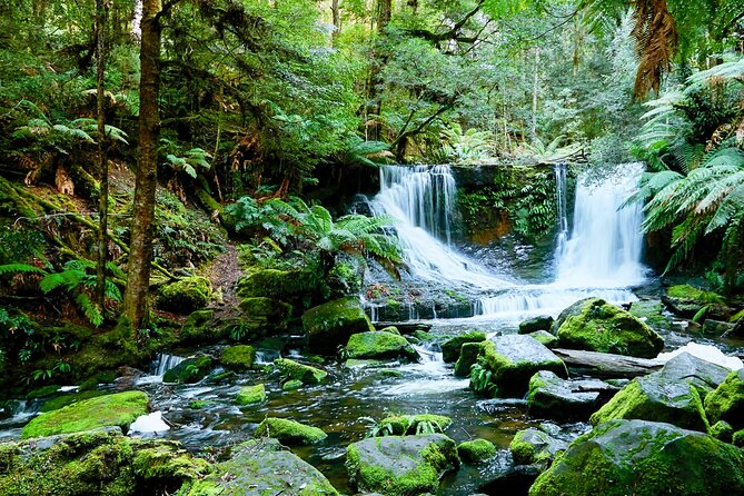 Bonorong Wildlife Park and Richmond Afternoon Tour from Hobart - Price and logistics: is $89.66 worth it?