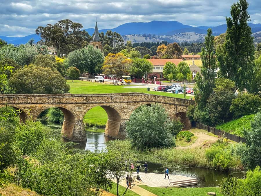 Bonorong Wildlife Sanctuary Half-Day Tour from Hobart - How This Half-Day Runs from Brooke Street Pier
