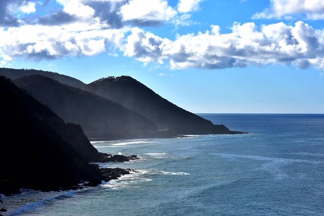 Boutique Great Ocean Road, wildlife and Rainforest Experience - Key highlights I’d put at the top of your list