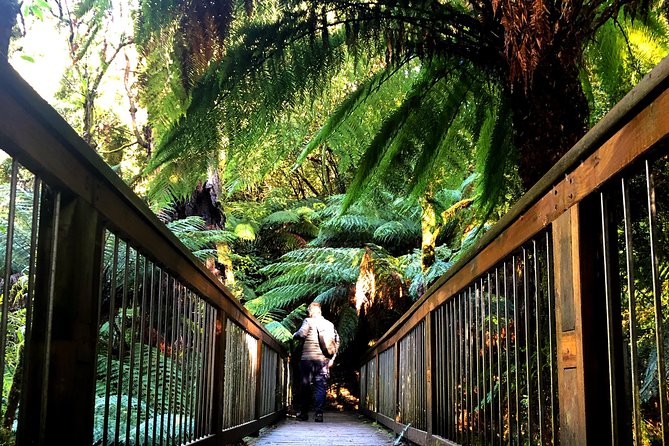 Boutique Great Ocean Road, wildlife and Rainforest Experience - Memorial Archway and Lorne: gateway viewpoints and a surfer-town pulse