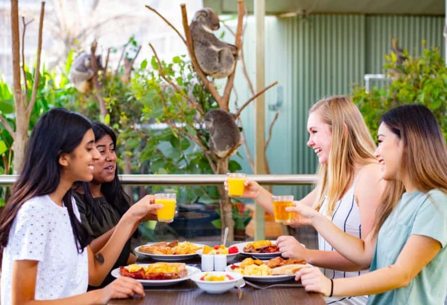 Breakfast with Koalas at WILD LIFE Zoo Darling Harbour - Breakfast With Koalas at WILD LIFE Sydney Zoo, what you’re really paying for