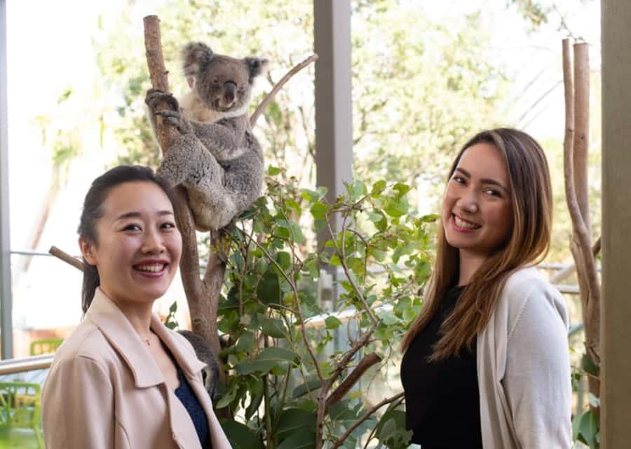 Breakfast with Koalas at WILD LIFE Zoo Darling Harbour - The highlights tour with a WILDLIFE keeper, not just a walk past cages